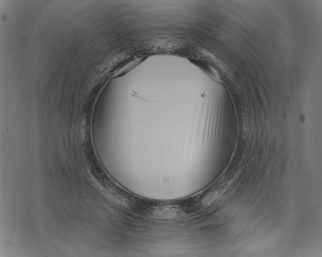 X0000073720451200608241236