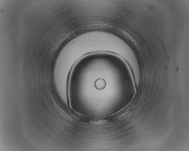 X0000073720452200608241236