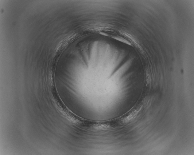 X0000073720453200608241236