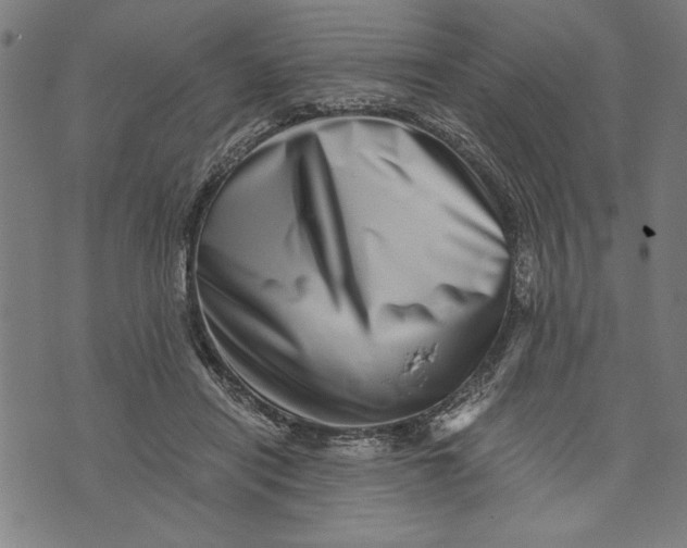 X0000073720454200608241236