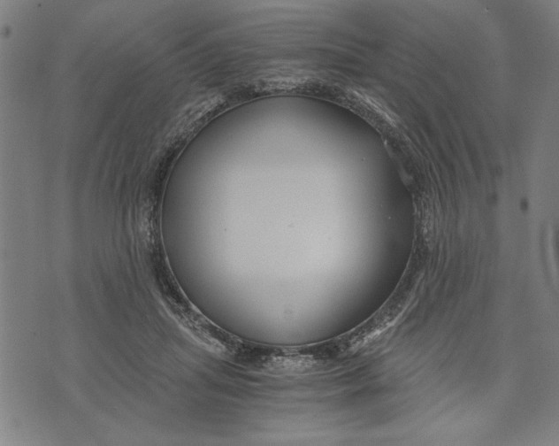 X0000073720455200608241236