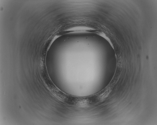 X0000073720456200608241236