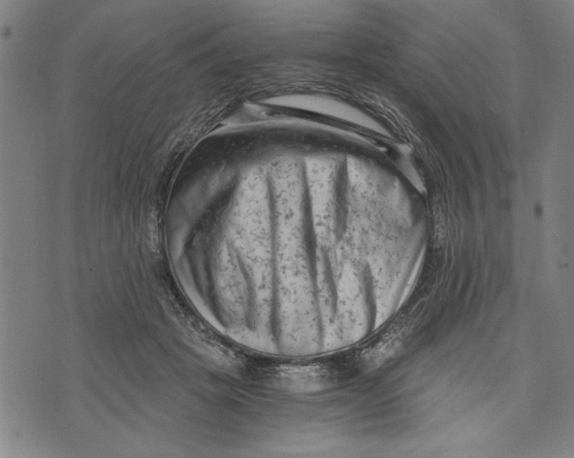 X0000073720457200608241236