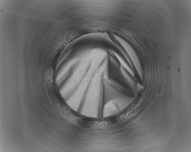 X0000073720458200608241236