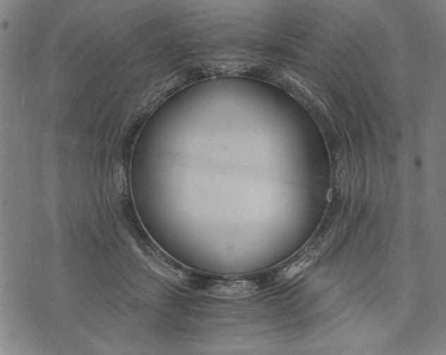 X0000073720459200608241236