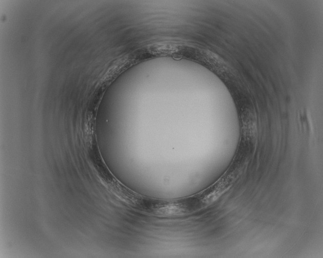 X0000073720460200608241236