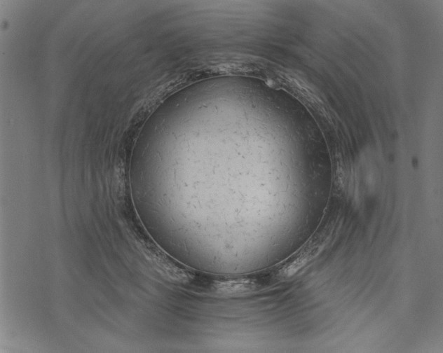 X0000073720461200608241236