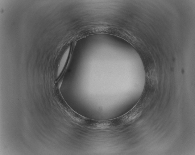 X0000073720462200608241236