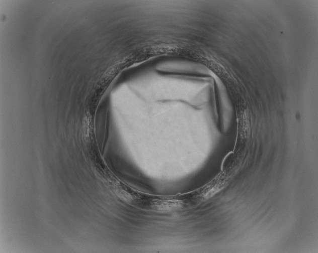 X0000073720463200608241236