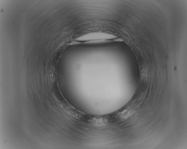 X0000073720464200608241236