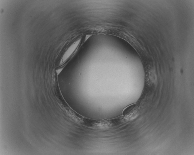 X0000073720466200608241236