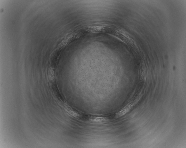 X0000073720467200608241236