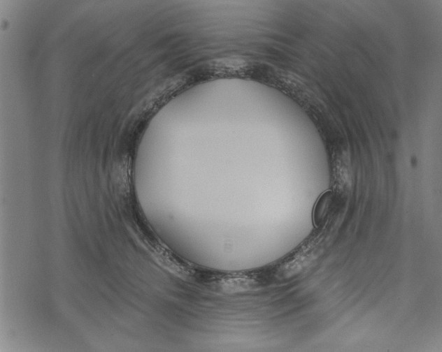 X0000073720468200608241236