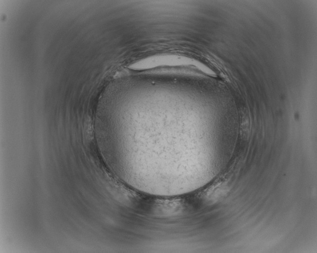 X0000073720469200608241236