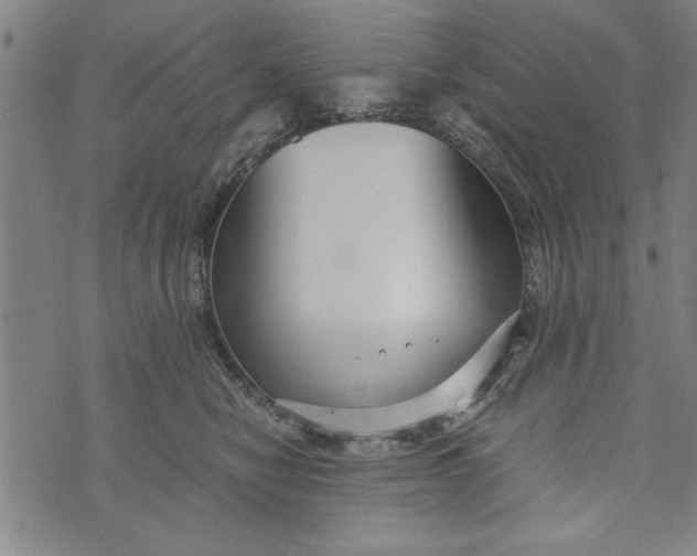 X0000073720470200608241236