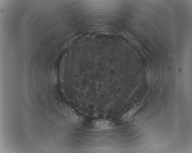 X0000073720471200608241236