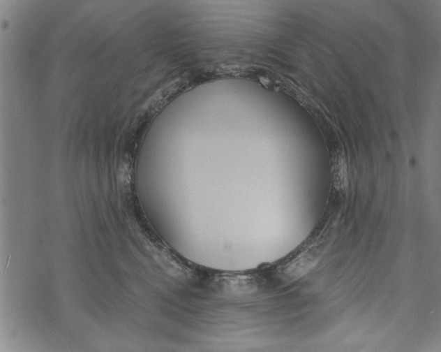 X0000073720472200608241236