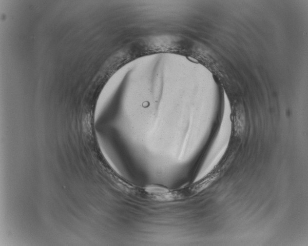 X0000073720473200608241236