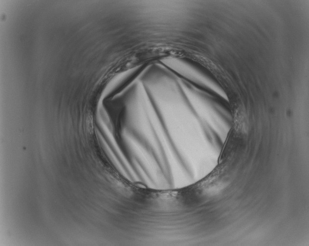 X0000073720474200608241236