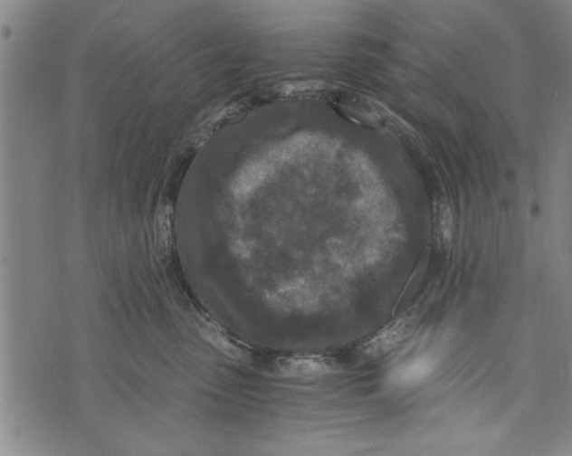 X0000073720475200608241236