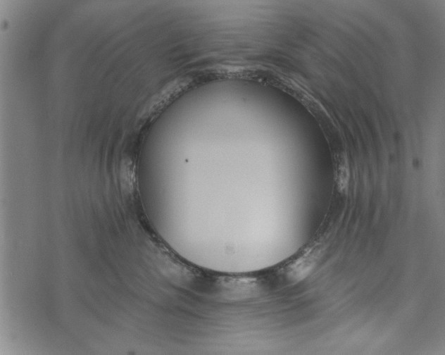 X0000073720476200608241236