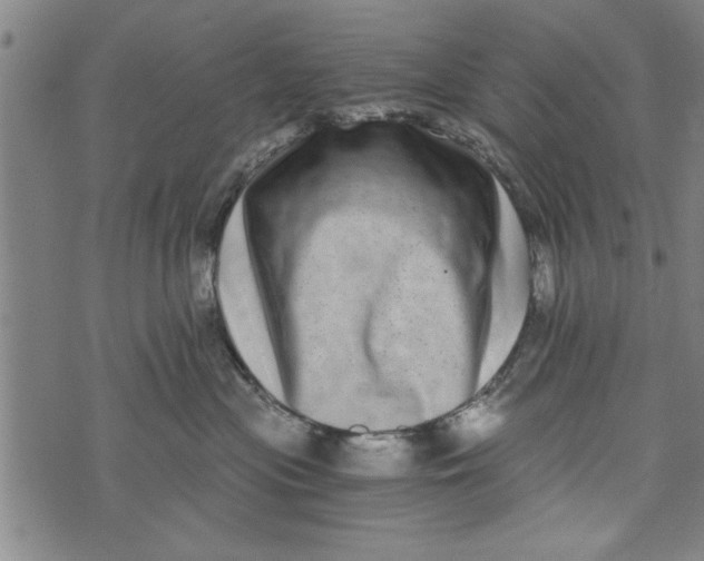 X0000073720477200608241236