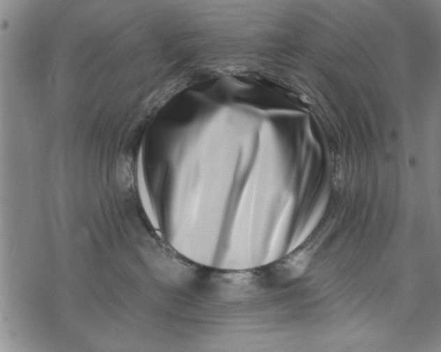 X0000073720478200608241236