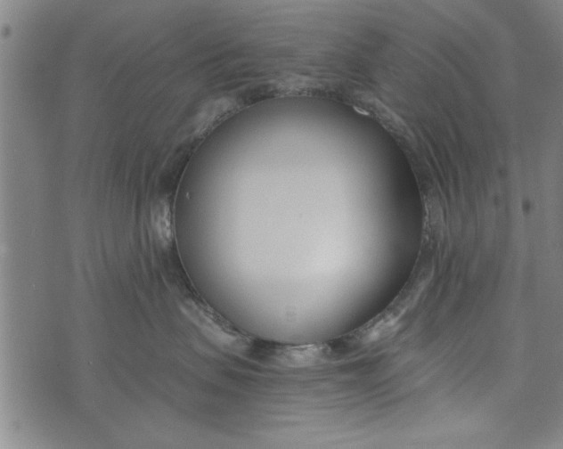 X0000073720479200608241236