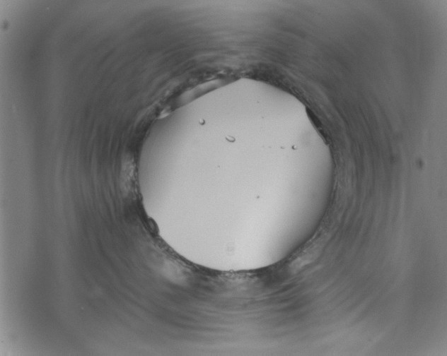 X0000073720480200608241236