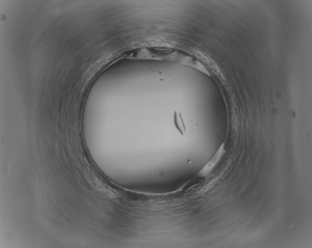 X0000073720481200608241236