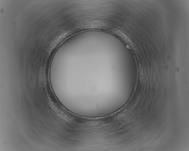 X0000073720482200608241236