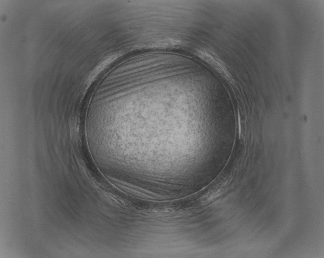 X0000073720483200608241236