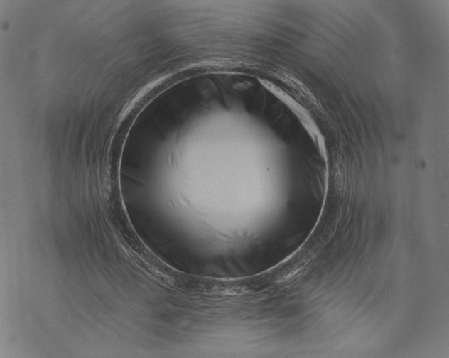 X0000073720484200608241236