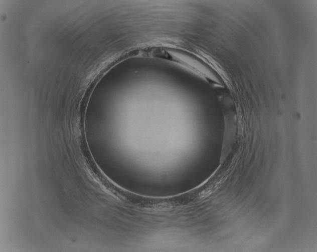 X0000073720485200608241236