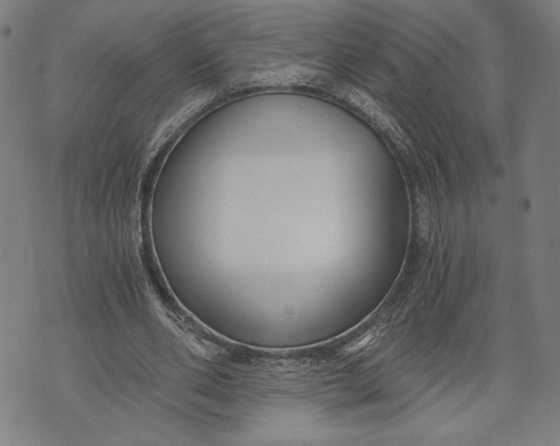 X0000073720486200608241236