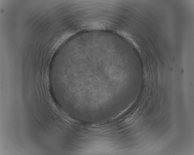 X0000073720487200608241236