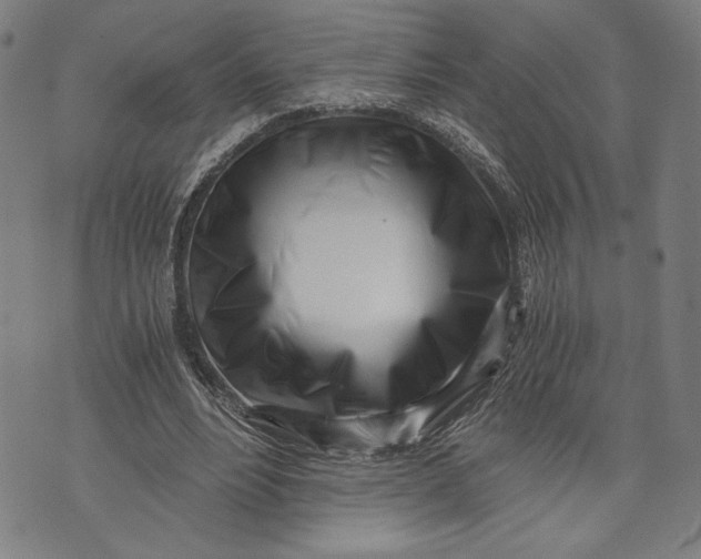 X0000073720488200608241235