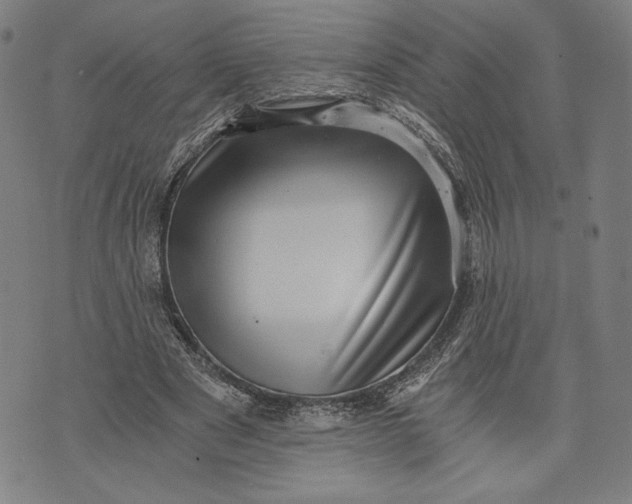 X0000073720489200608241235