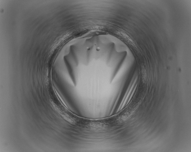 X0000073720490200608241235