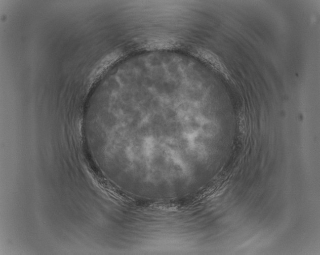 X0000073720491200608241235