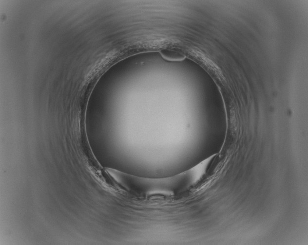 X0000073720493200608241235