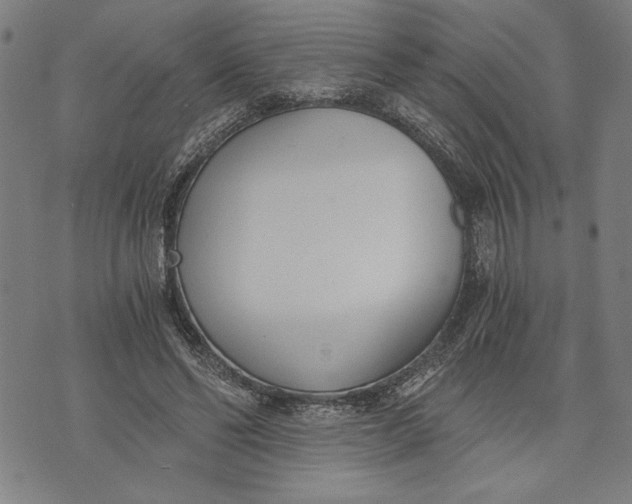 X0000073720494200608241235