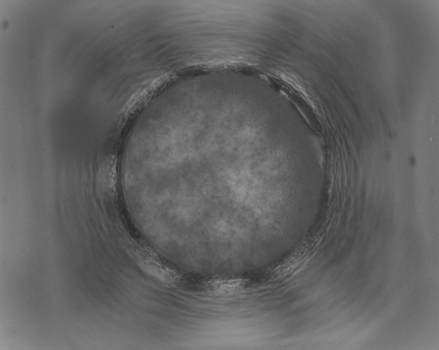 X0000073720495200608241235