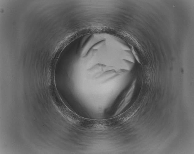 X0000073720496200608241235