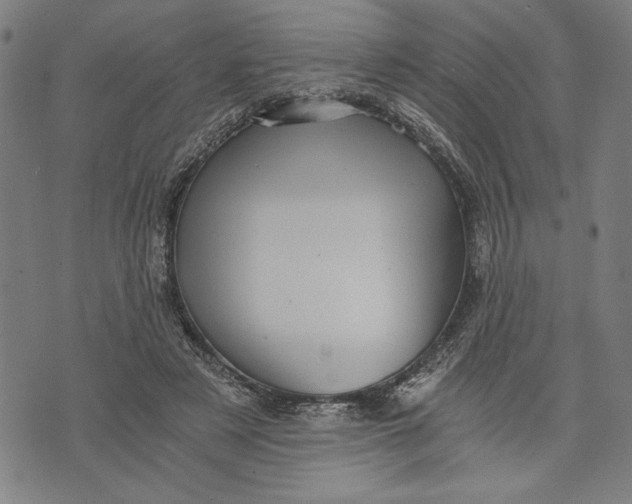 X0000073720497200608241235