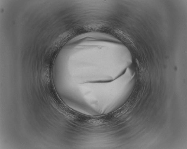 X0000073720498200608241235