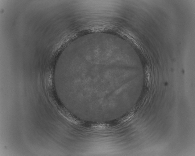 X0000073720499200608241235