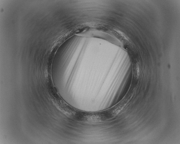 X0000073720500200608241235