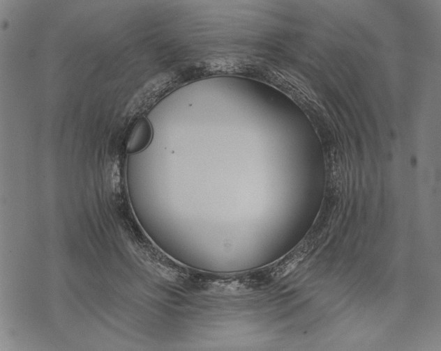 X0000073720502200608241235