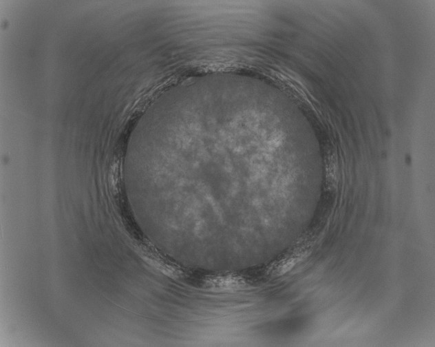 X0000073720503200608241235